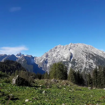 Gaestehaus Laercheck Morgensonne Апартаменты